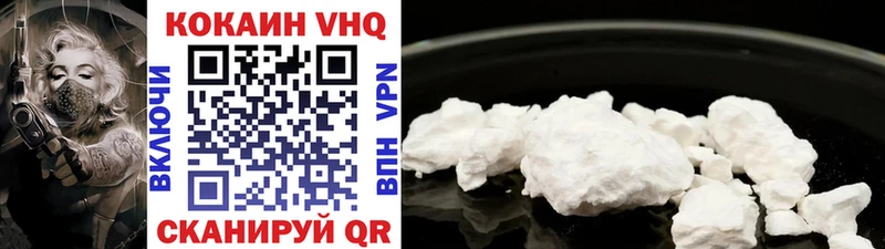 где можно купить наркотик  Елизово  Cocaine Fish Scale 
