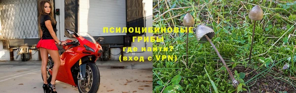 прущие крисы Дмитров