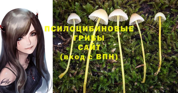 mdma Дмитриев