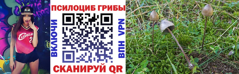 Галлюциногенные грибы GOLDEN TEACHER  как найти закладки  Елизово 