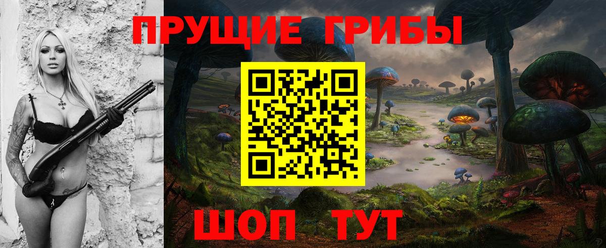 Галлюциногенные грибы Psilocybe Елизово