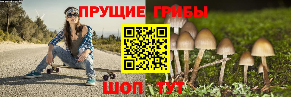 Галлюциногенные грибы мухоморы  Вход с VPN  Елизово 