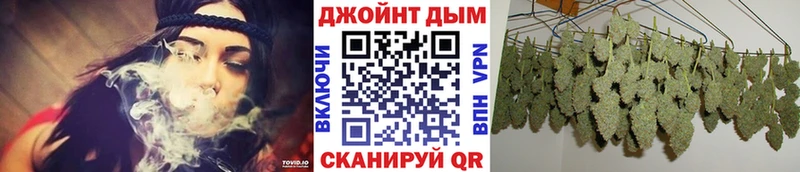 блэк спрут ТОР  Елизово  Конопля сатива 